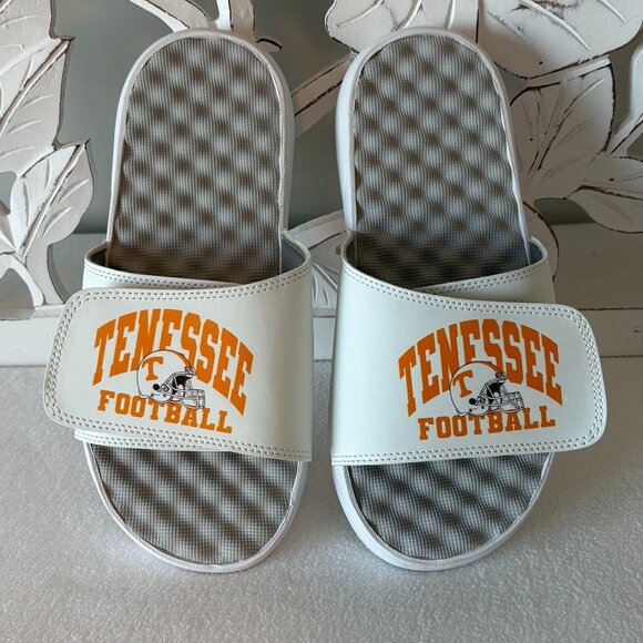 I Slide University of Tennessee Slides - Picture 1 of 6